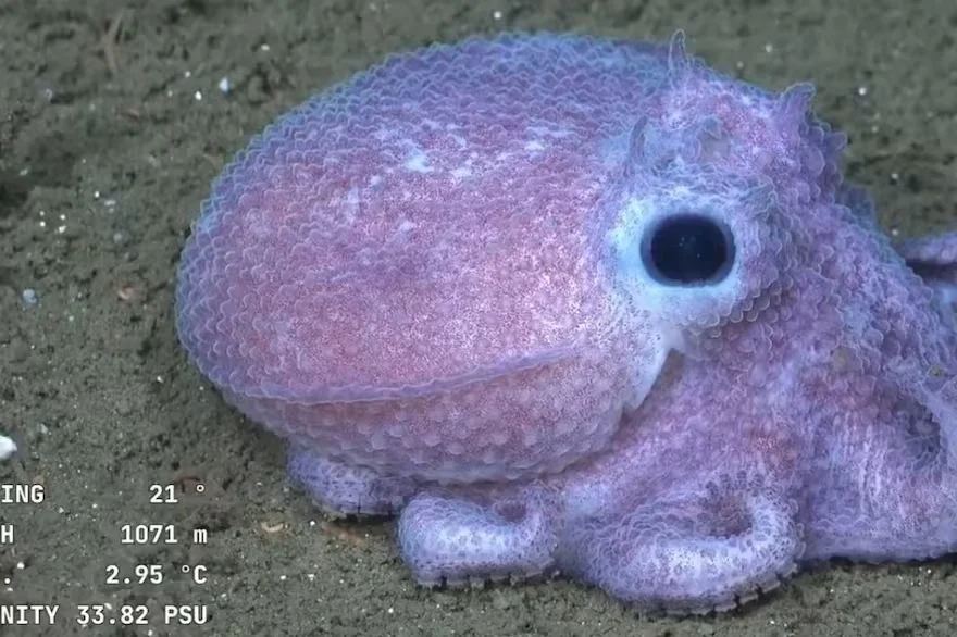 WhatsApp-Image-2025-12-20-at-9.38.27-AM