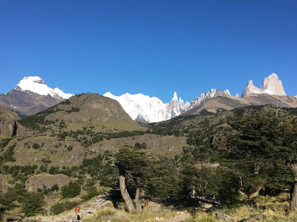 dos condores