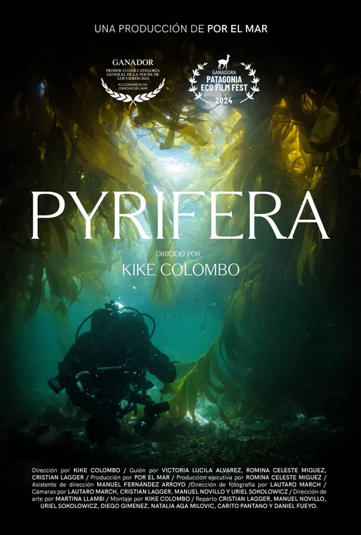 Afiche PYRIFERA con laureles