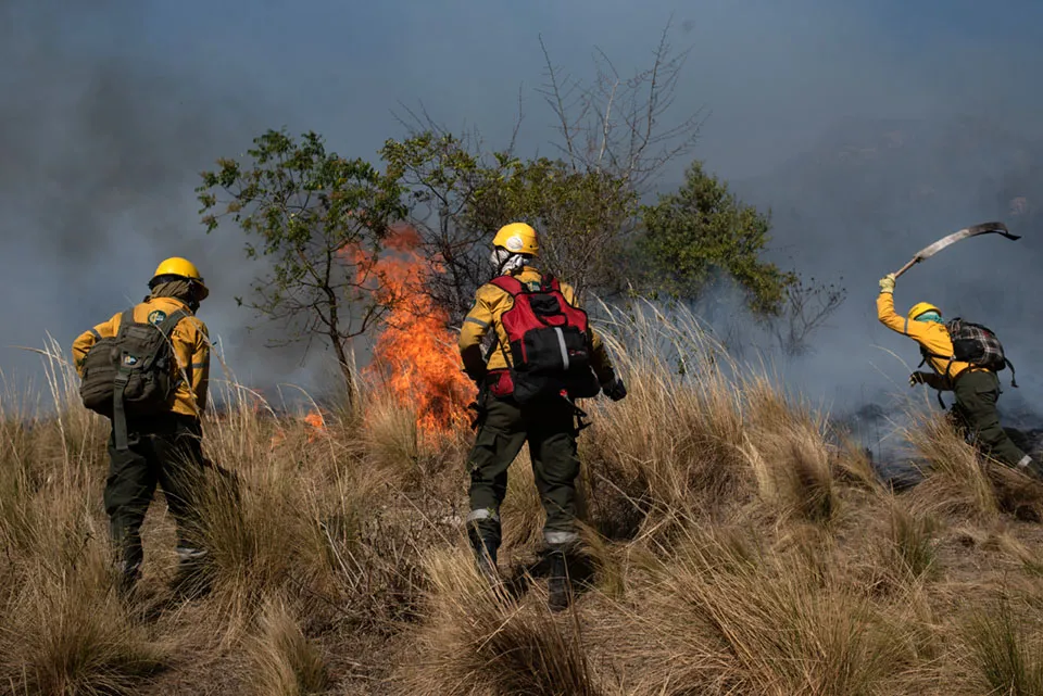 Brigadistas incendios forestales