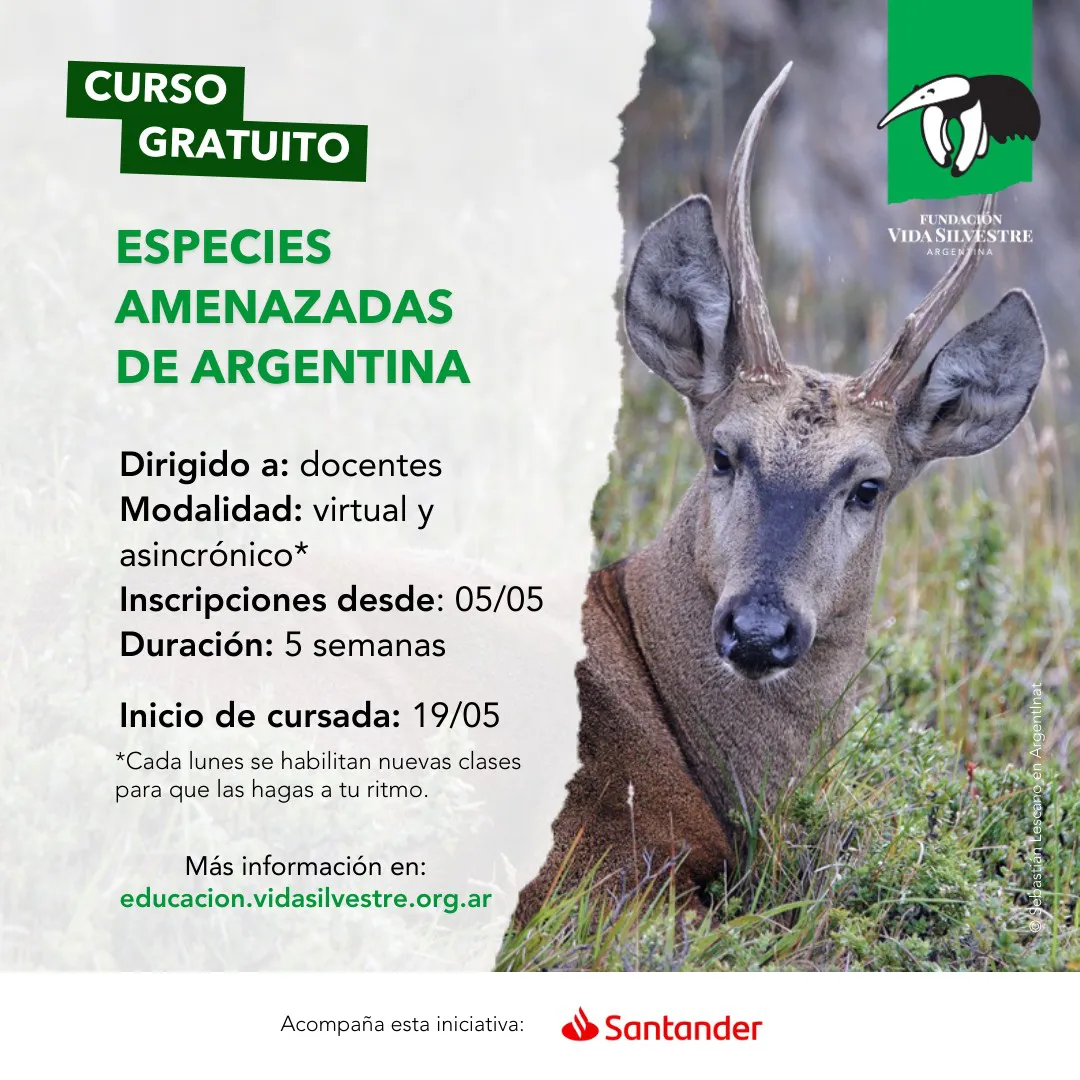 495570893_1105008135000495_7024768653426423608_n