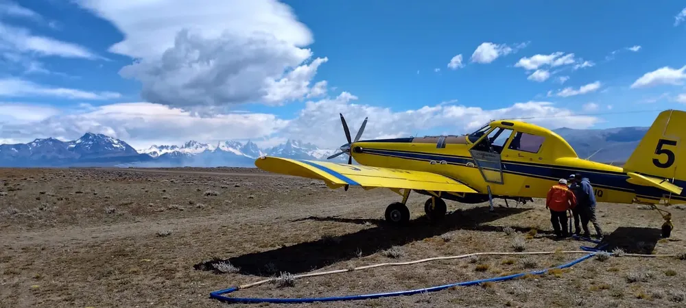 WhatsApp Image 2026-01-05 at 14.08.43