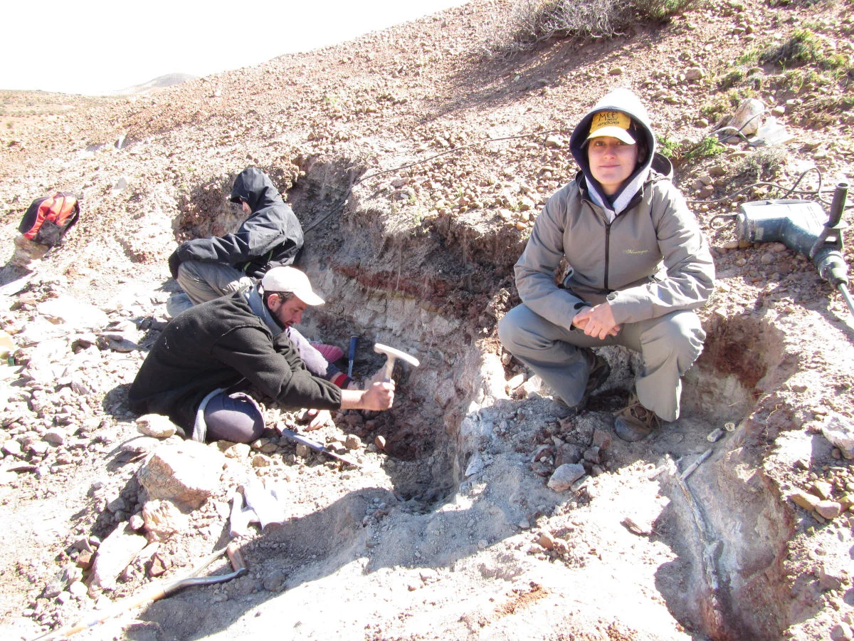 nueva_especie_patagoflora_minima_02