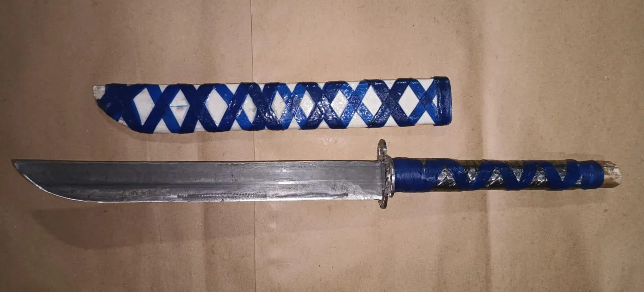 Allanamiento campaña1 (3)