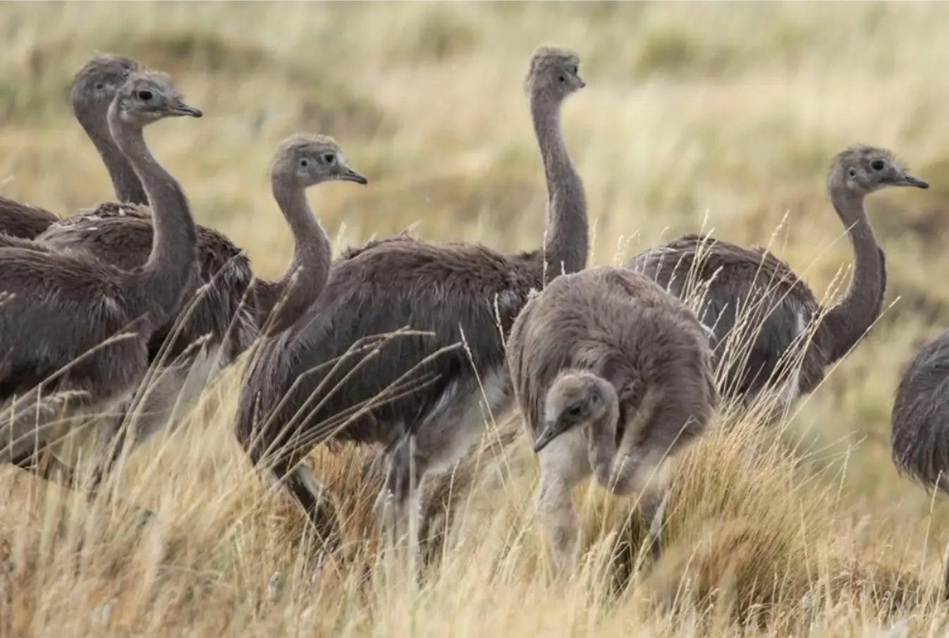 657244907_18367855243164036_6936944620411612105_n