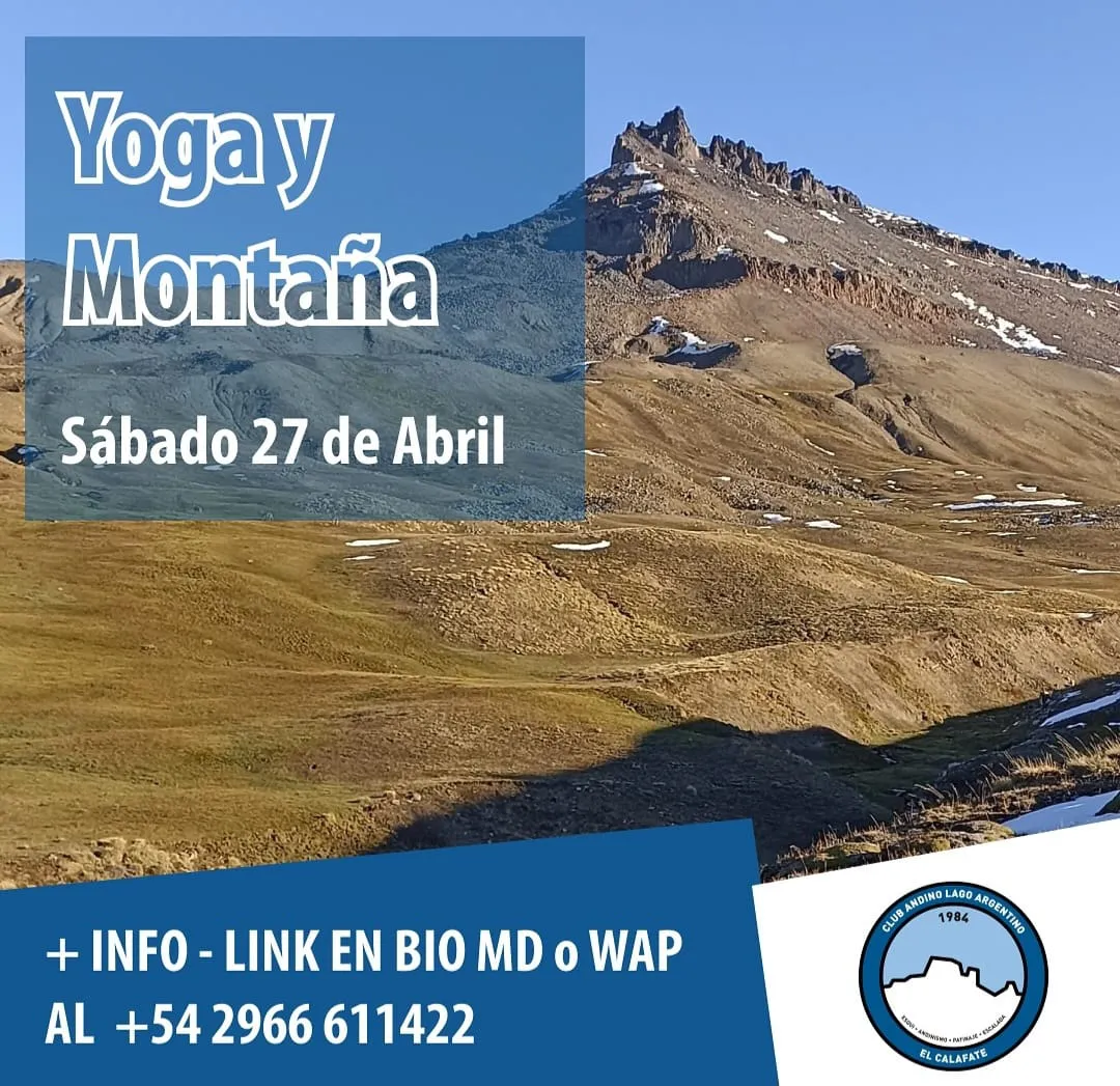 WhatsApp Image 2024-04-18 at 12.07.08