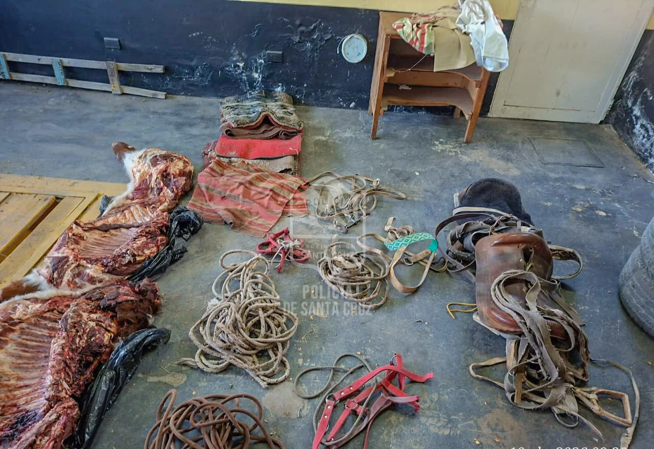 WhatsApp Image 2026-04-11 at 1.11.02 PM