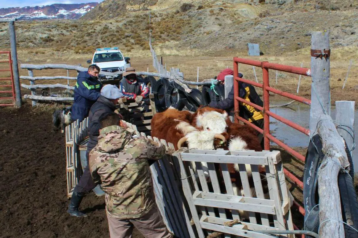 WhatsApp Image 2024-09-27 at 08.36.19