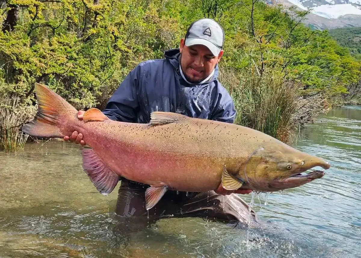 salmon-el-chaiten