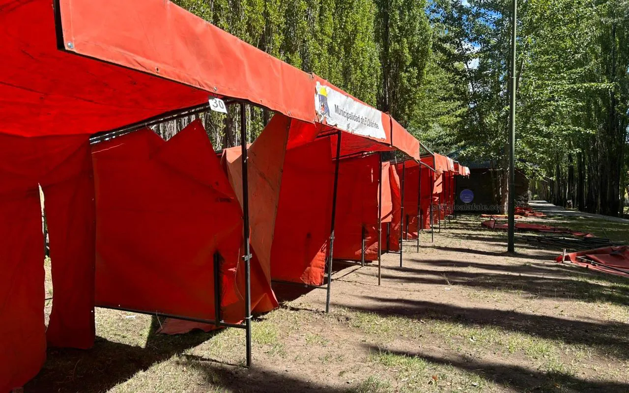 PHOTO-2026-02-10-14-07-33