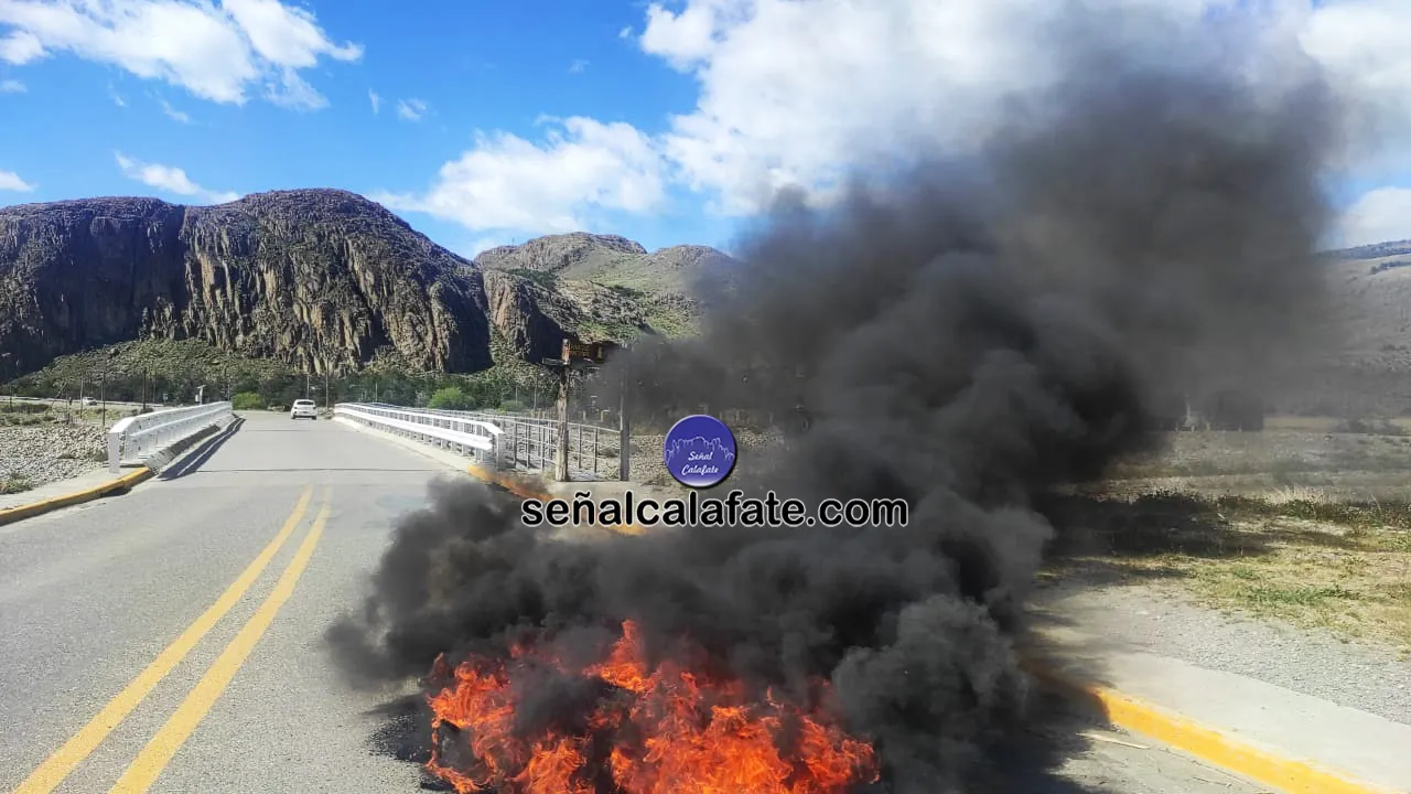 WhatsApp Image 2023-11-26 at 10.45