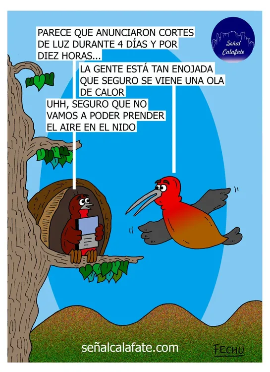 PHOTO-2024-11-20-18-26-23