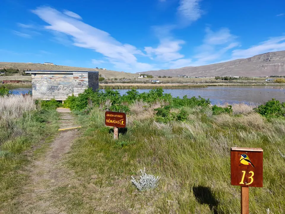 315464819_518932910273010_1846234350787584162_n