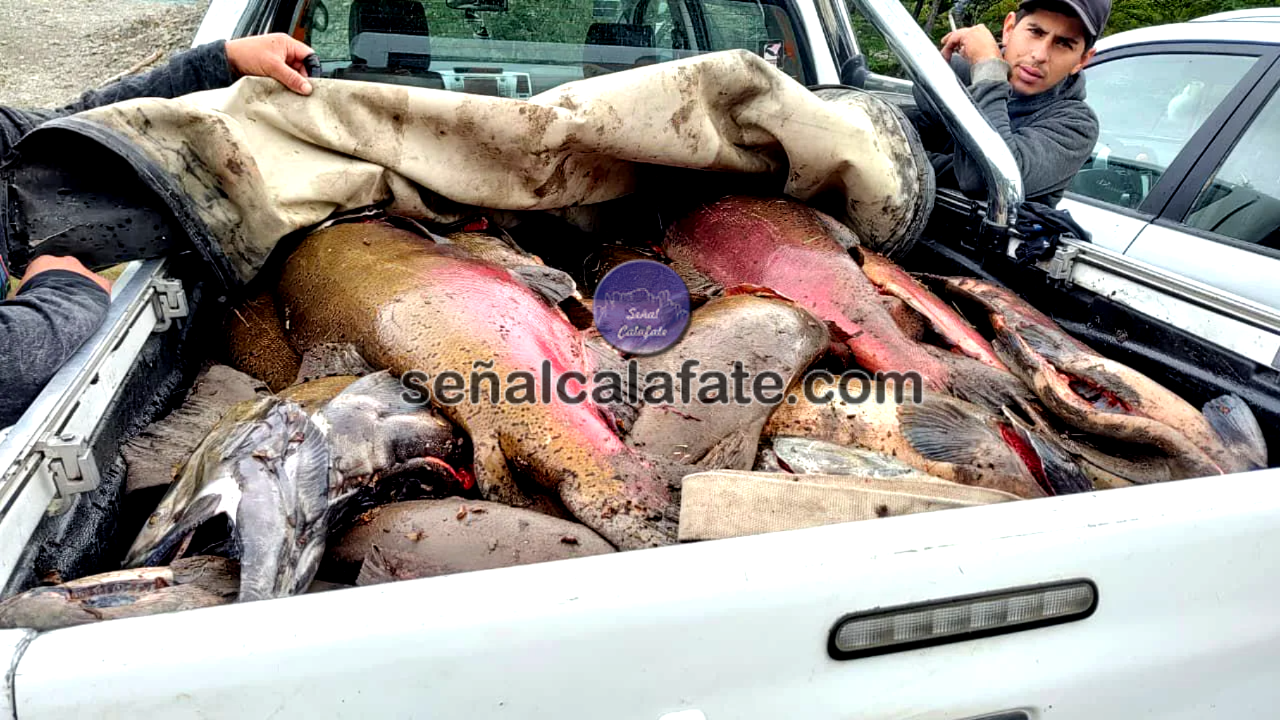 WhatsApp Image 2026-03-16 at 19.27.14