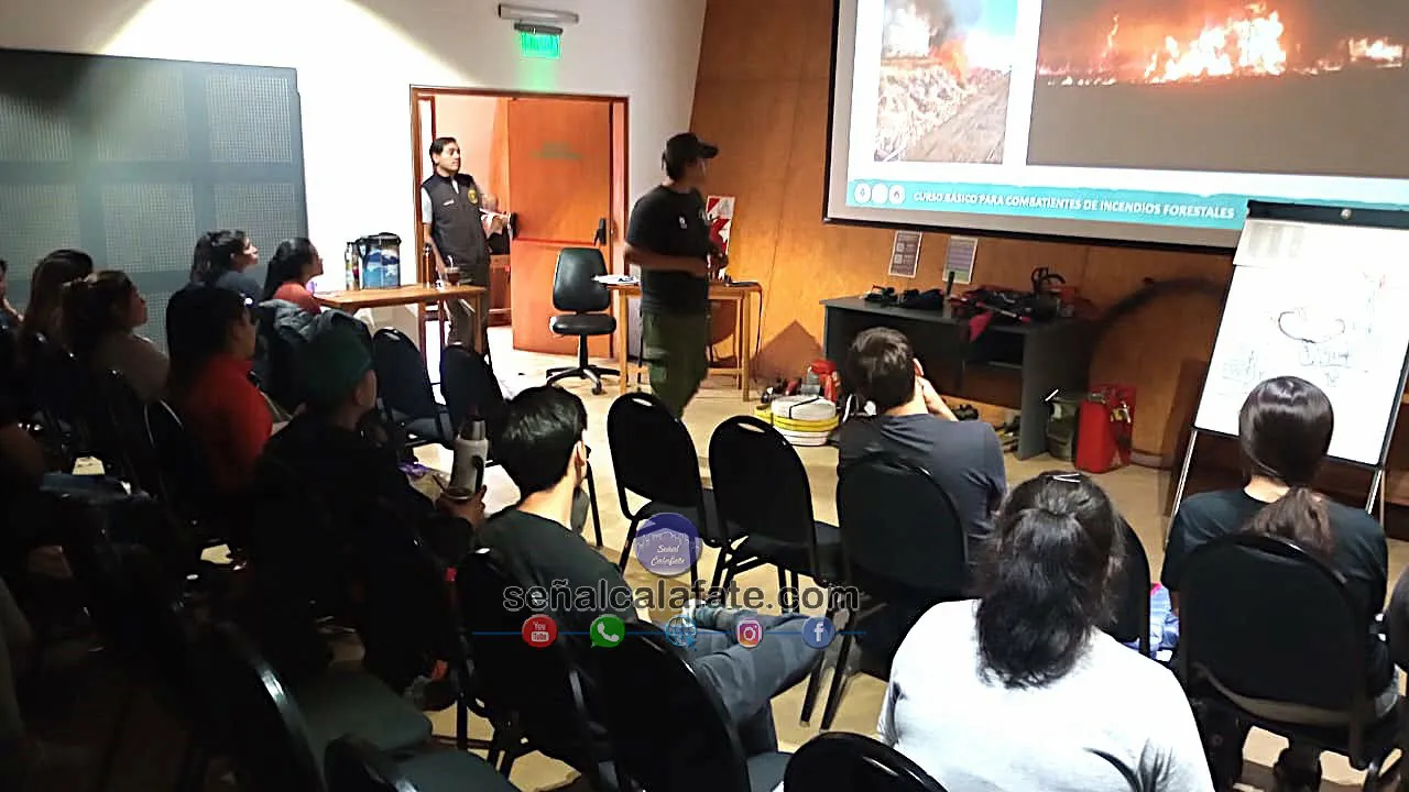 WhatsApp Image 2024-11-25 at 14.03.02