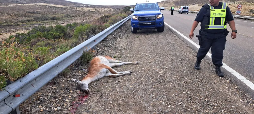 WhatsApp Image 2024-02-04 at 20.10.36