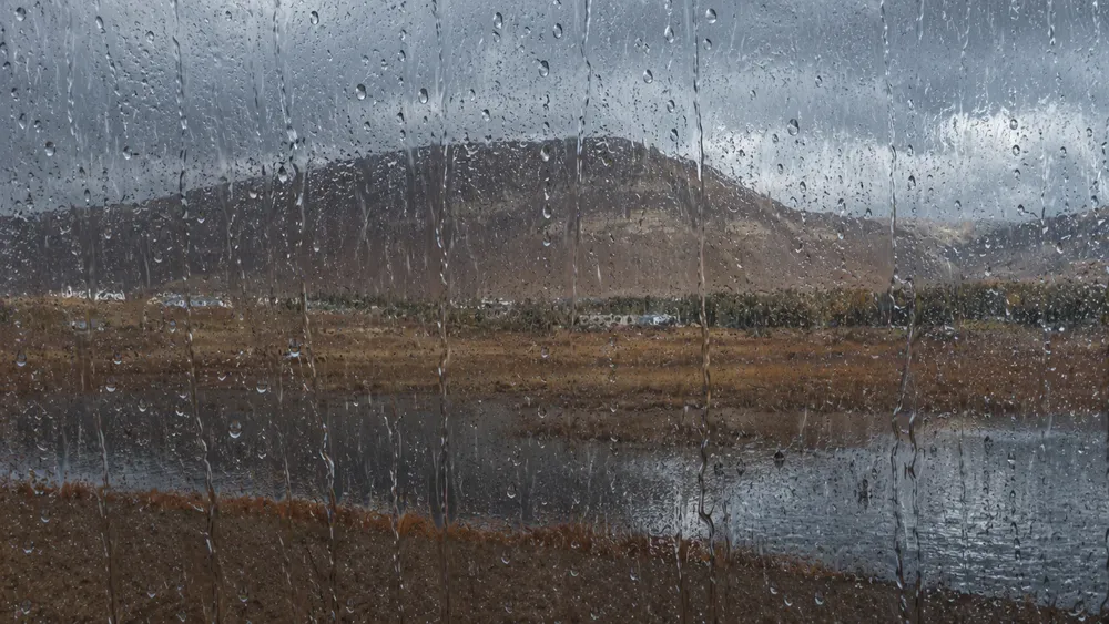 calafate lluvia