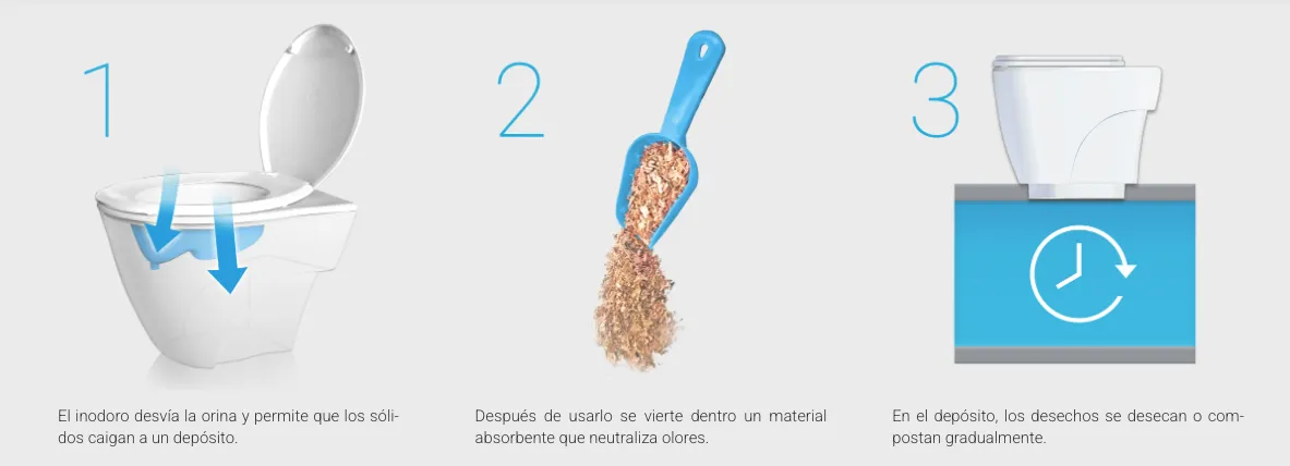 Captura de Pantalla 2025-01-11 a la(s) 16.08.55