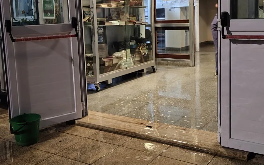 Copia de WhatsApp Image 2025-06-02 at 9.14.11 AM