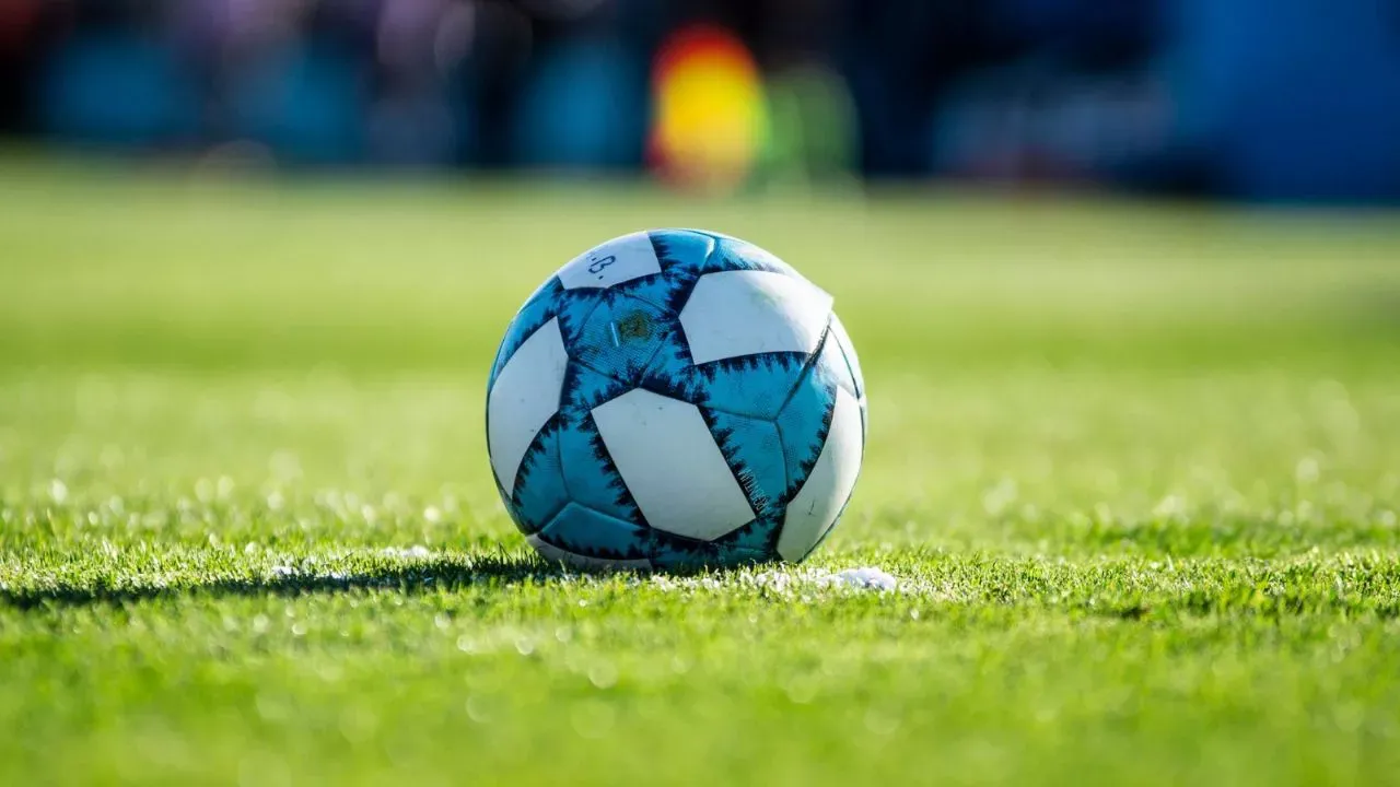 pelota