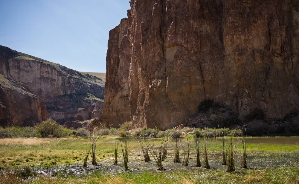Parque Patagonia - Cañadón Caracoles - Plantación de juncos y escalada - 2025 - © Natalia Trzcina - 4854