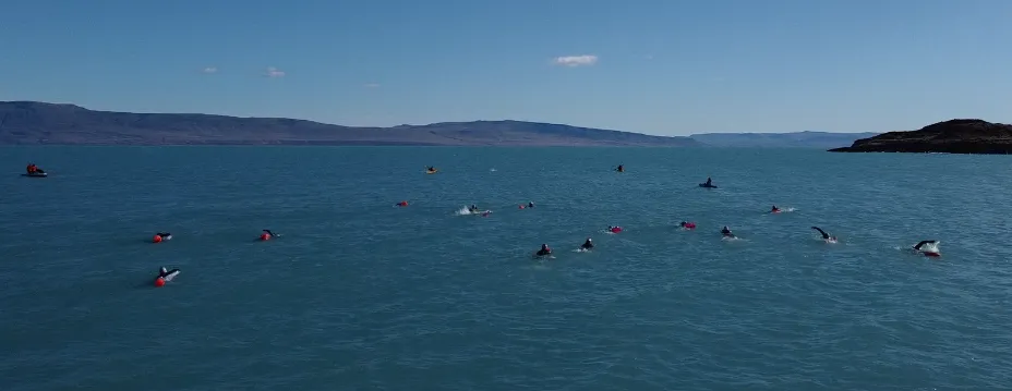 Captura de Pantalla 2024-02-03 a la(s) 14.16.00