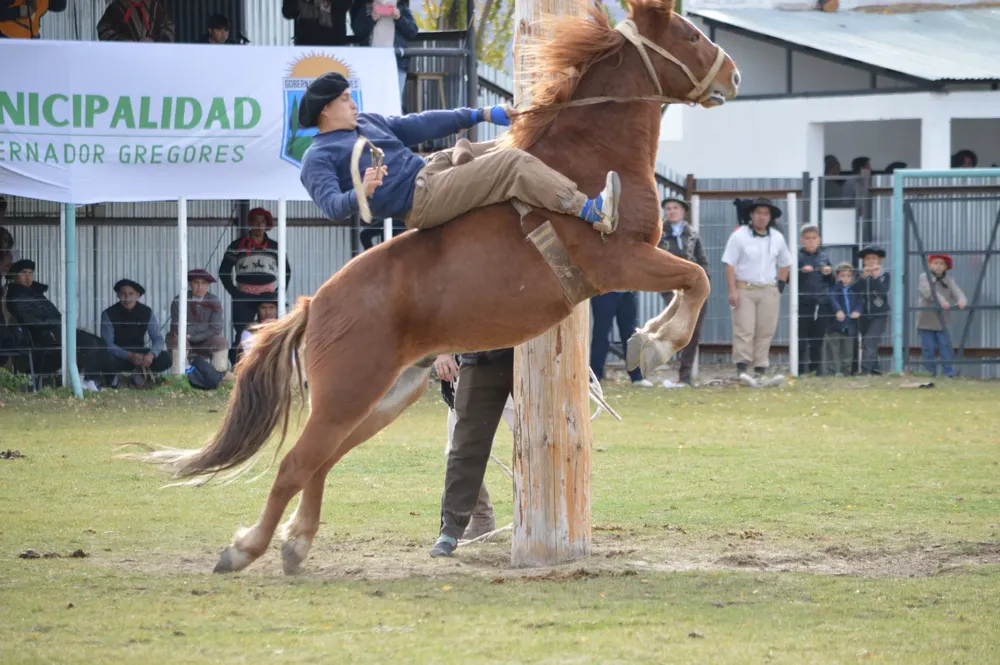 FOTOCABALLO