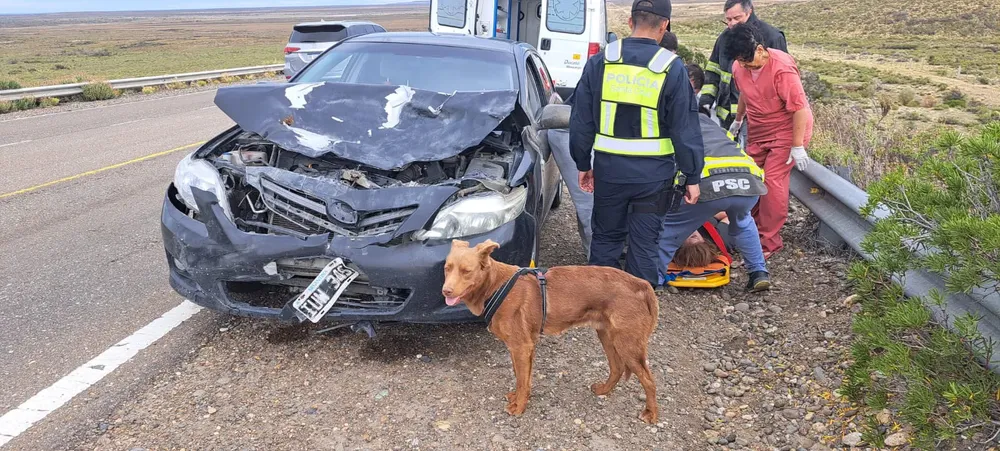 WhatsApp Image 2024-02-04 at 20.10.39