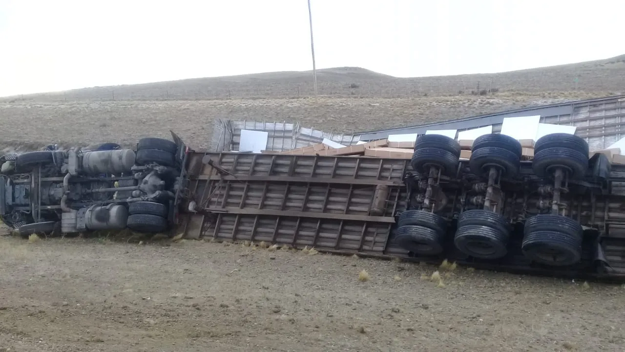 WhatsApp Image 2025-07-11 at 9.53.44 PM