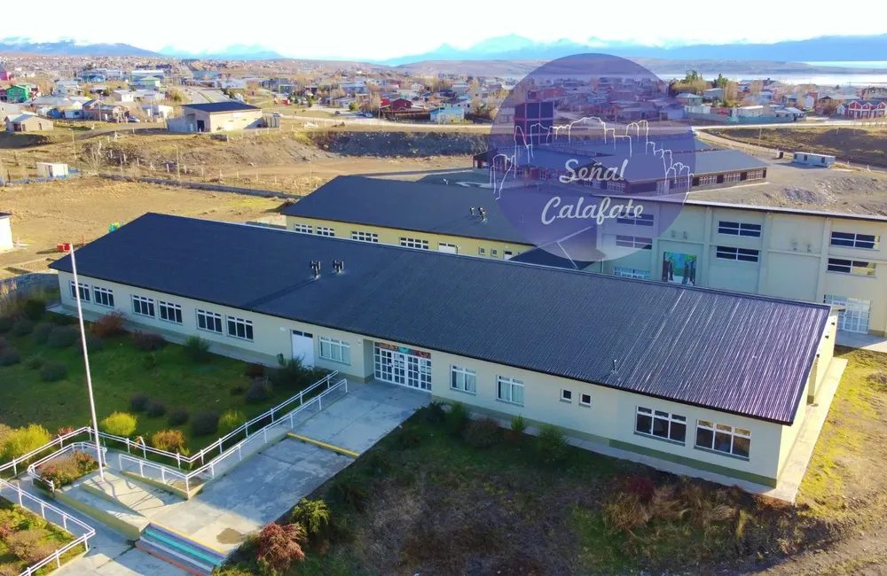 WhatsApp Image 2024-03-14 at 11.08.27 (1)