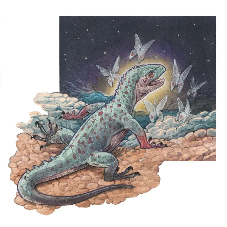 Notosphenos finisterre