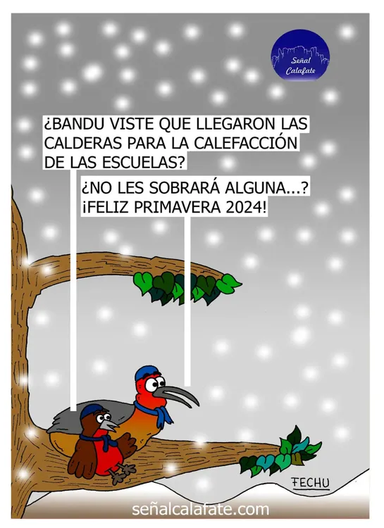 WhatsApp Image 2024-09-25 at 09.11.37