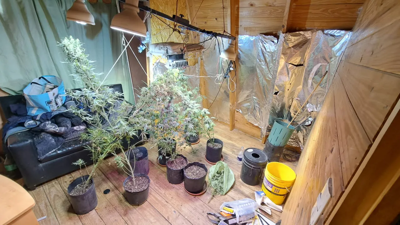 WhatsApp Image 2025-05-15 at 08.17.49