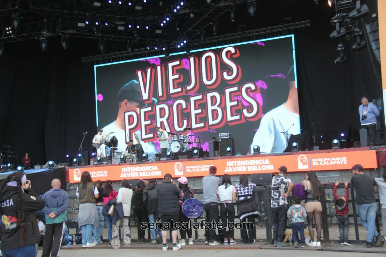 WhatsApp Image 2024-02-13 at 21.15.43 (1)