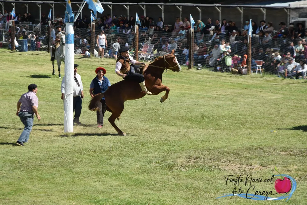 473075510_933855315604803_26783211136191500_n