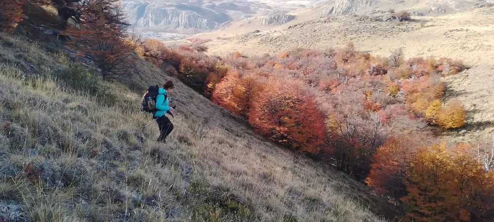 WhatsApp Image 2023-04-23 at 00.15.35