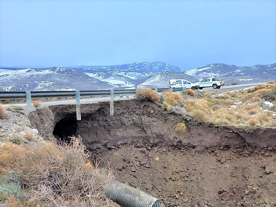 364025186_658177086345326_6418016872852661758_n