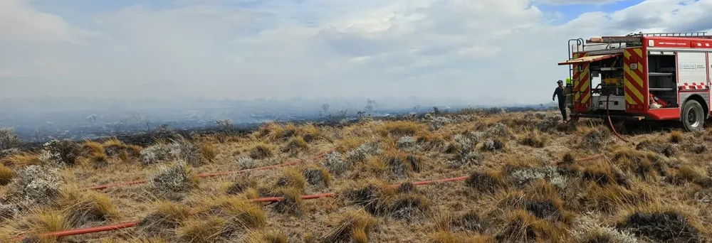 WhatsApp Image 2025-02-18 at 17.36.52