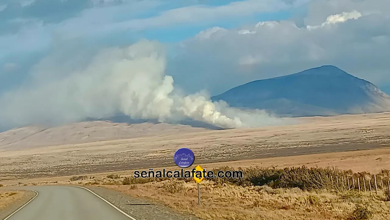 WhatsApp Image 2025-03-02 at 19.40.10