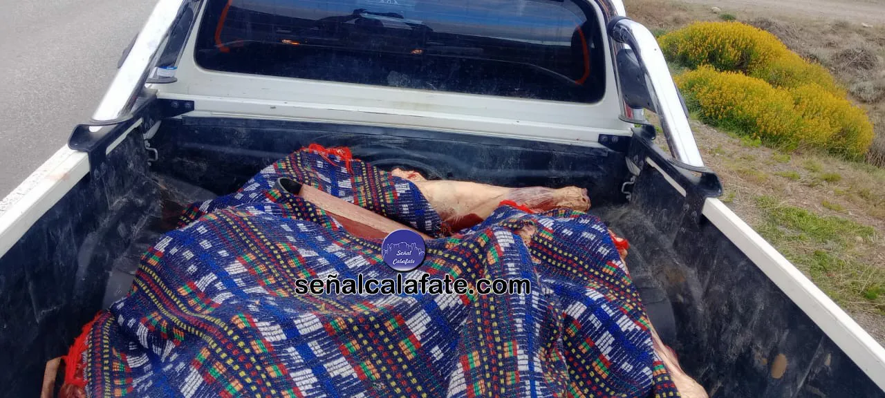 WhatsApp Image 2023-11-30 at 12.03.23