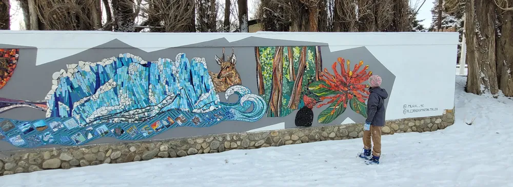 FeMo SEDE Calafate actividades