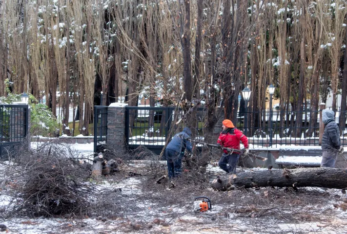 Captura de Pantalla 2024-06-07 a la(s) 12.40.30