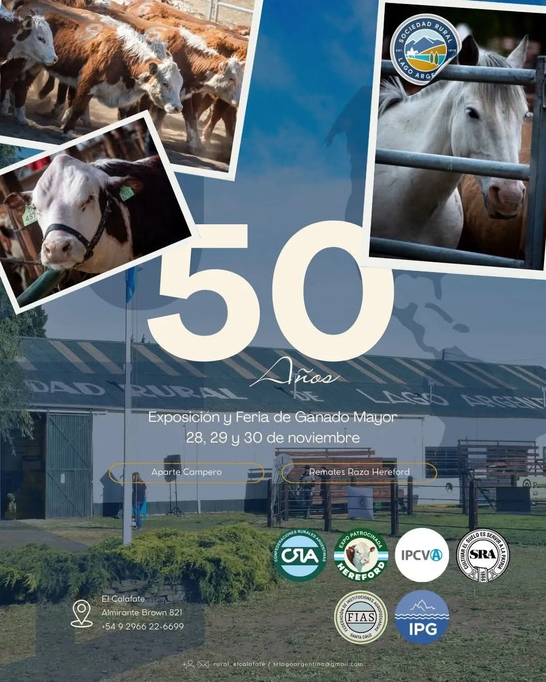 WhatsApp Image 2025-09-30 at 11.50.29