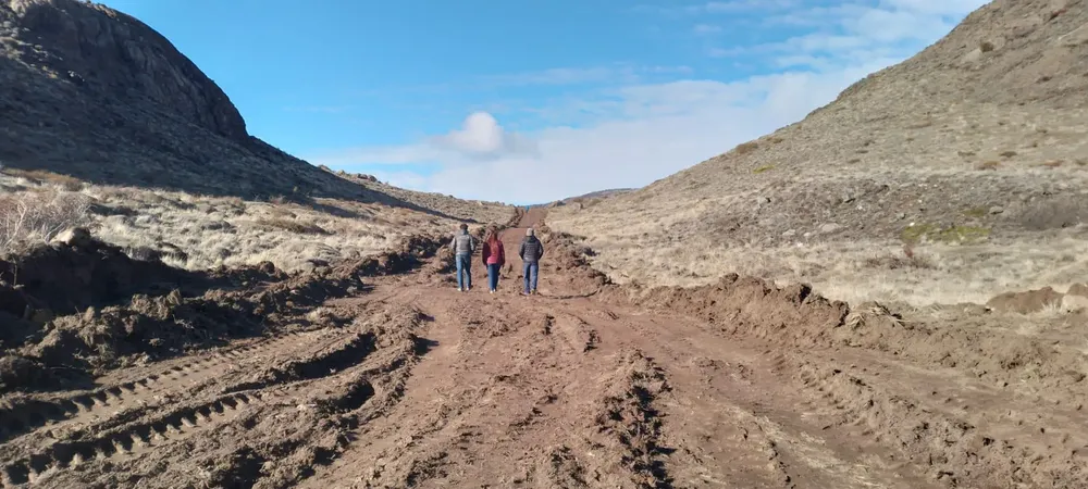 WhatsApp Image 2023-09-17 at 10.20.43