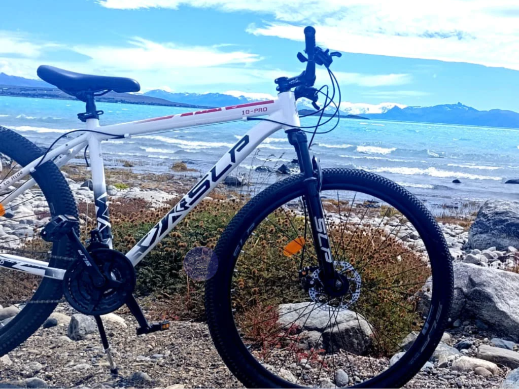 bicicleta robada