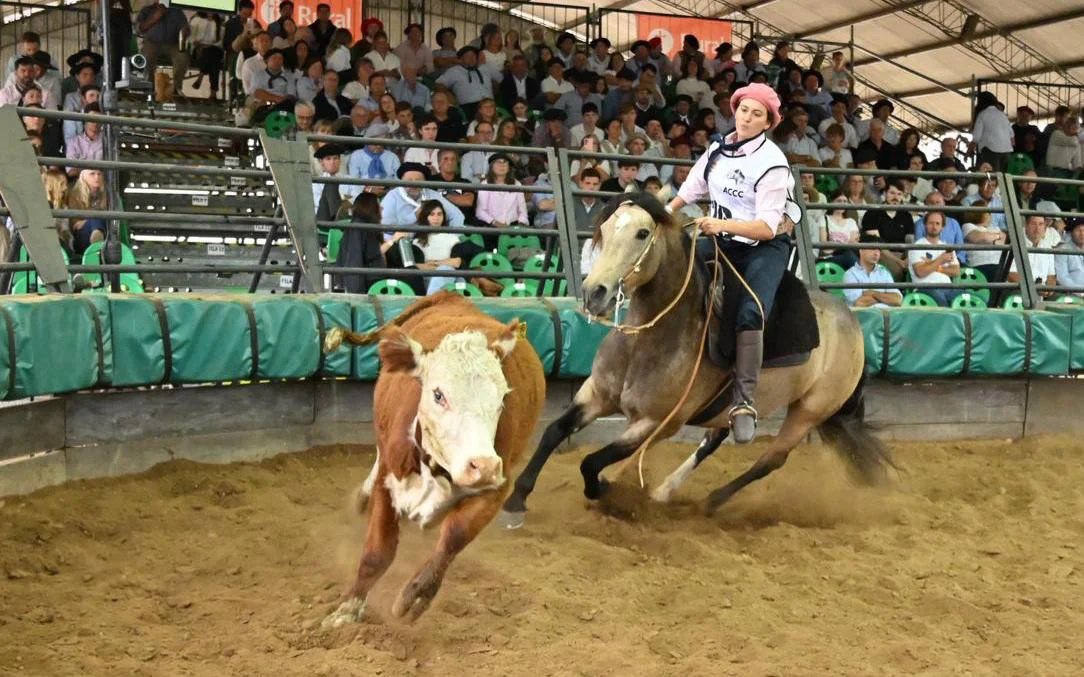 WhatsApp Image 2026-03-29 at 10.08.16 PM