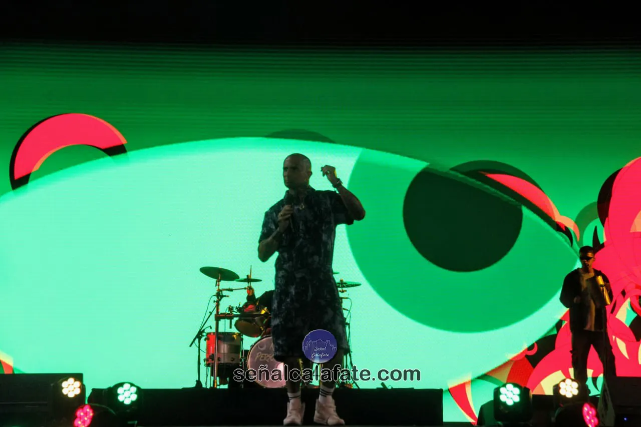 WhatsApp Image 2024-02-18 at 00.12.52