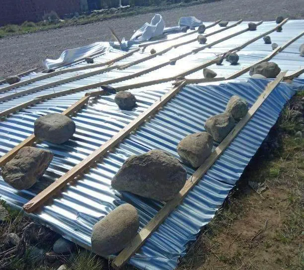 WhatsApp Image 2024-10-28 at 14.19.20