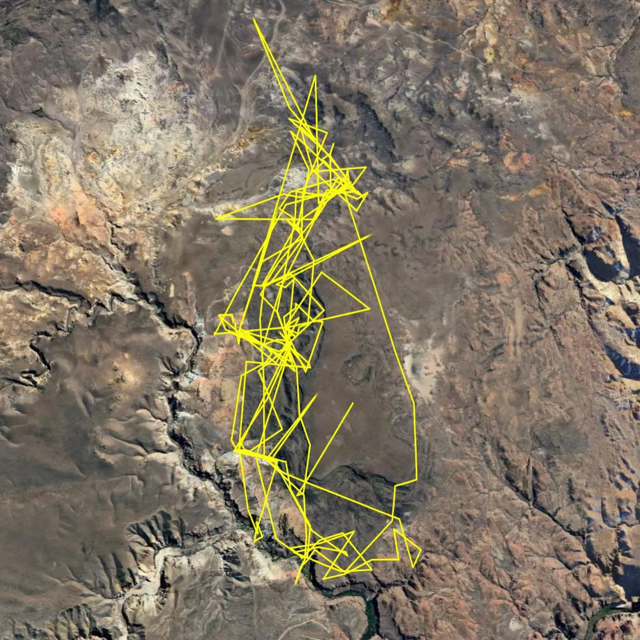 Imagen de WhatsApp 2025-08-07 a las 15.03.28_cabd0c95