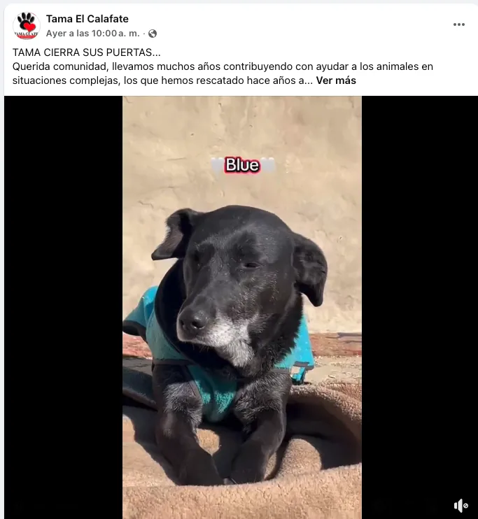 Captura de Pantalla 2025-09-11 a la(s) 20.26.46